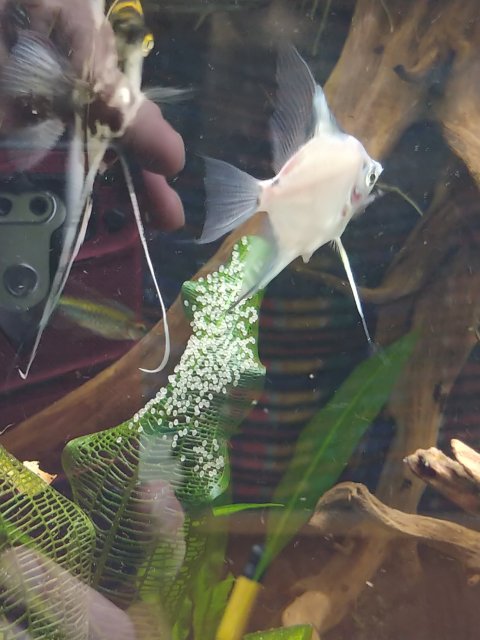20180909_162747.jpg