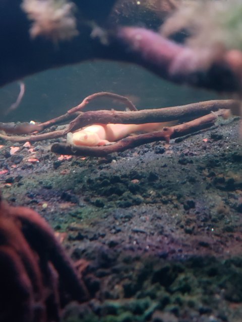 20180910_225841.jpg