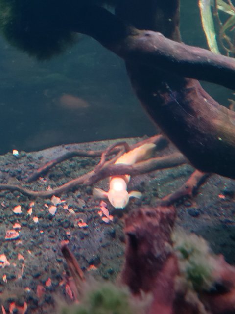 20180910_225831.jpg