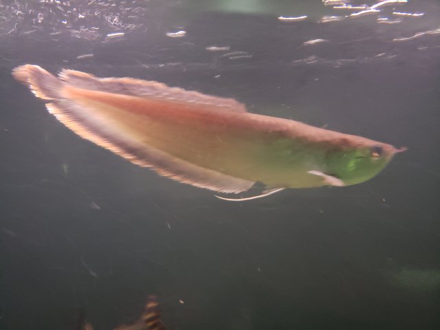 20180820_022055.jpg