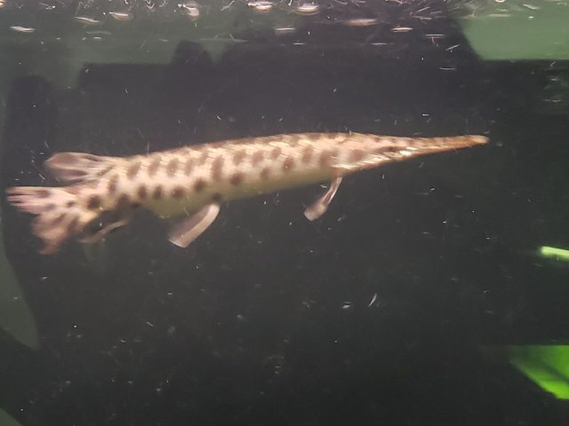 20180820_022343.jpg 20180820_022343.jpg