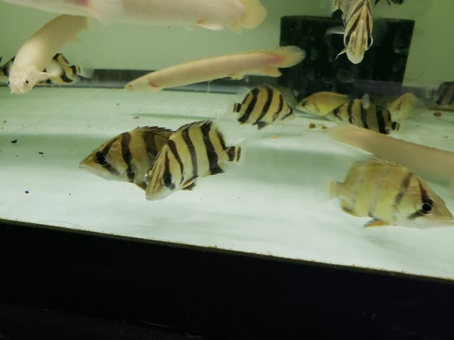 20180826_153222.jpg 20180826_153222.jpg