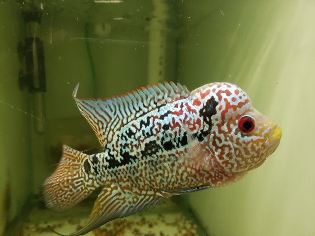 20180828_161747.jpg