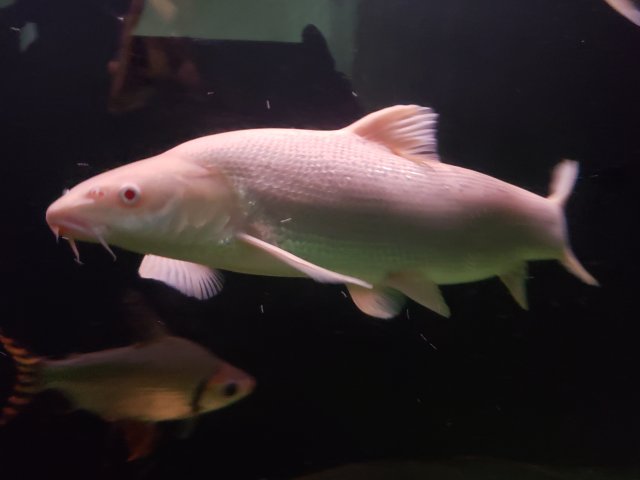 20180828_164024.jpg 20180828_164024.jpg