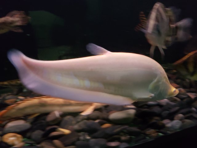 20180828_164137.jpg 20180828_164137.jpg