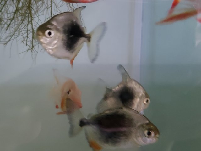 20180910_114153.jpg