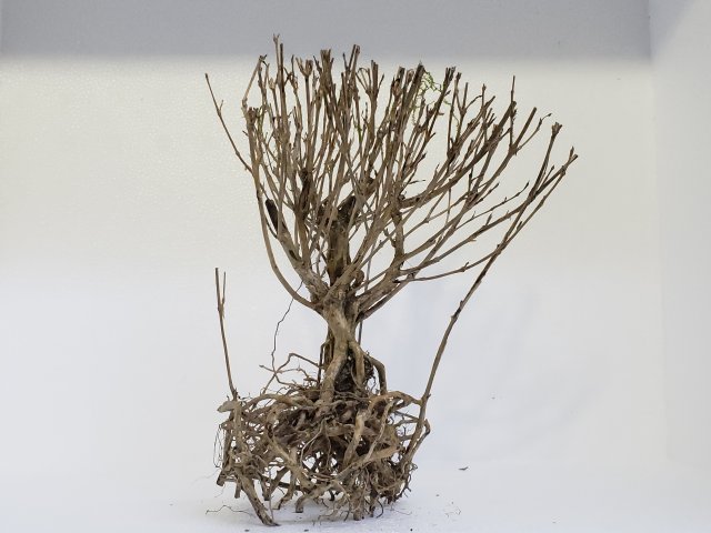 20180910_114556.jpg