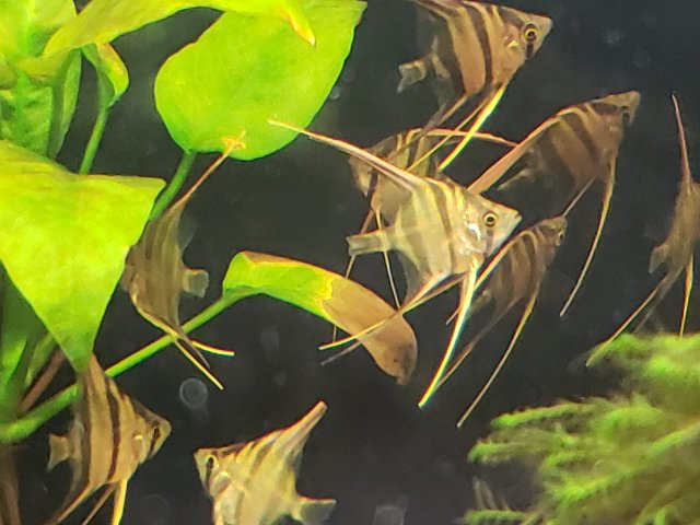20180911_100619.jpg 20180911_100619.jpg