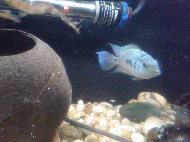 20180911_145614.jpg