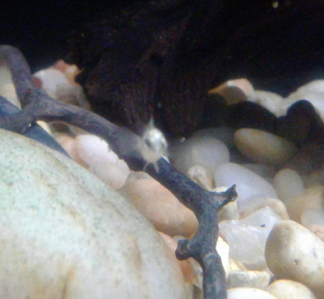 20180911_150516.jpg