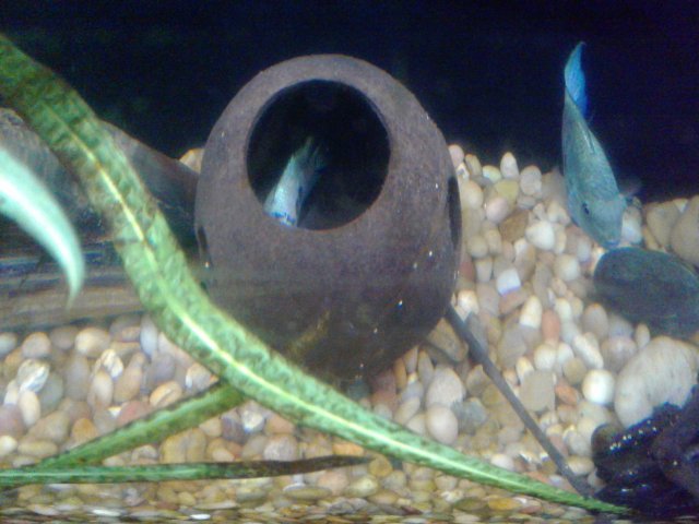 20180911_161541.jpg