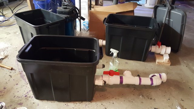 20180812_153751.jpg