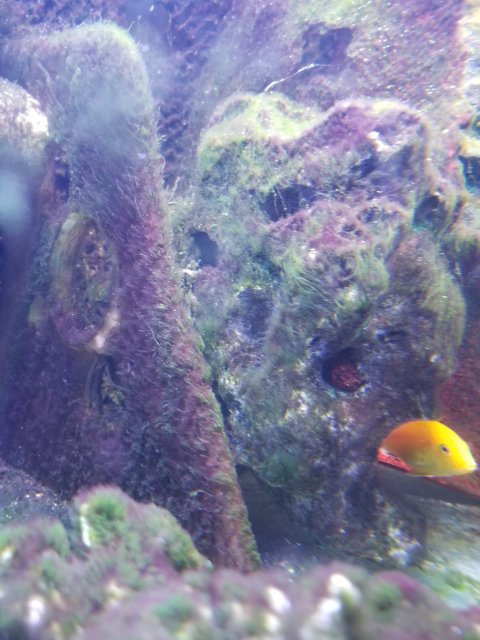 20180914_210422.jpg