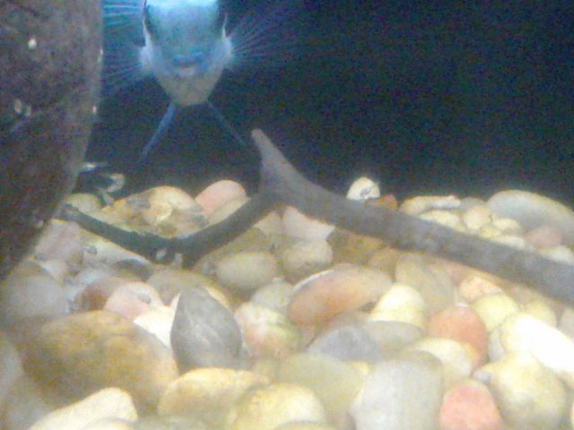 20180915_121422.jpg