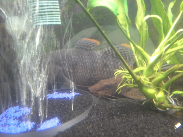 20180915_205557.jpg