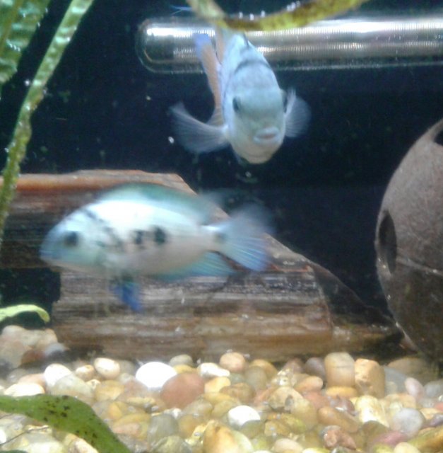 20180916_124210.jpg