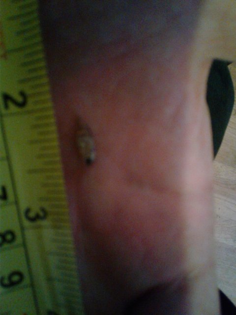 20180916_173124.jpg