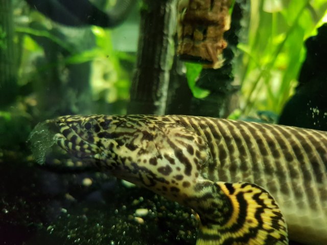 20180516_212250.jpg