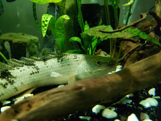 20180716_165223.jpg