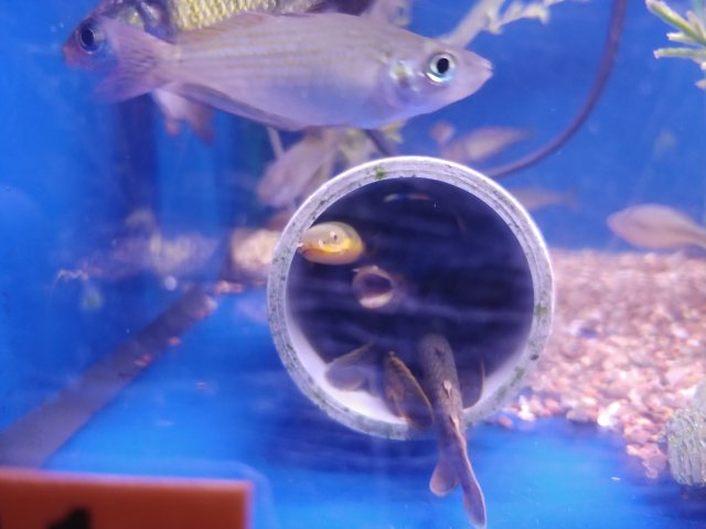 20180916_163421.jpg