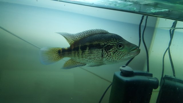 20180918_201142.jpg