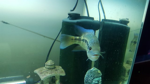 20180918_201221.jpg