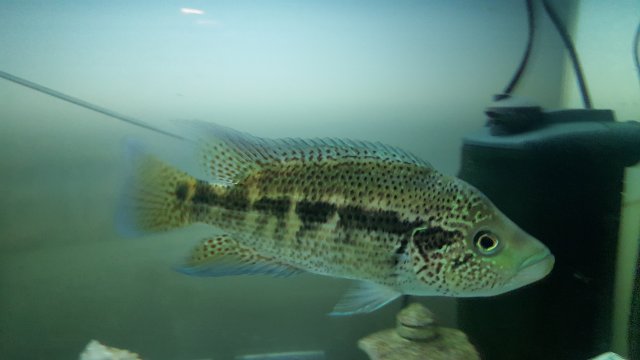 20180918_201103.jpg