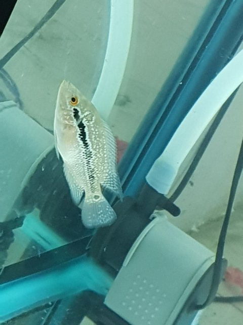 20180919_202846.jpg