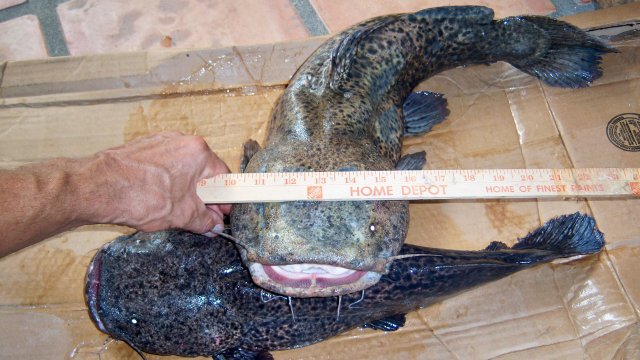 100_8203.JPG