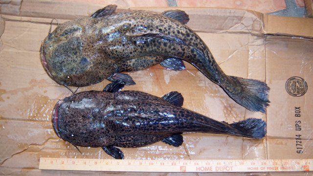 100_8201.JPG 100_8201.JPG