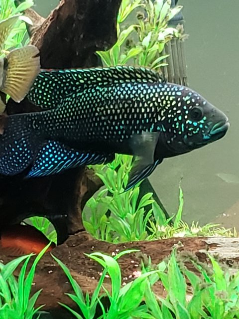 20180919_195712.jpg