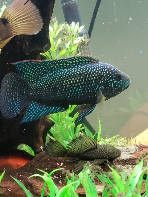 20180919_195735.jpg