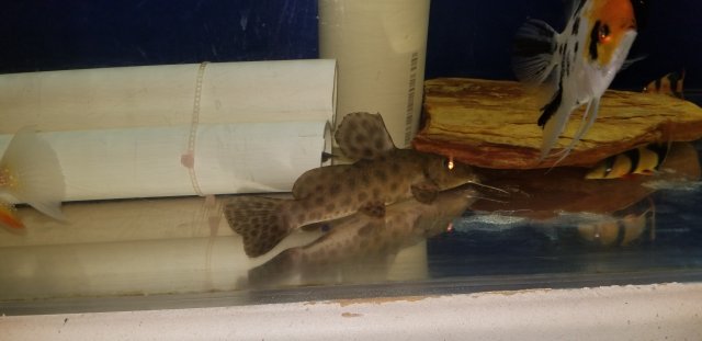 20180919_194610.jpg