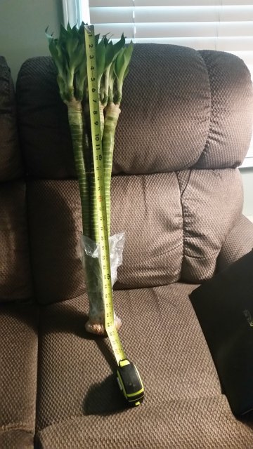 20180921_171741.jpg