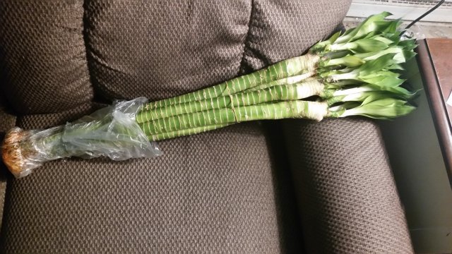 20180921_171820.jpg