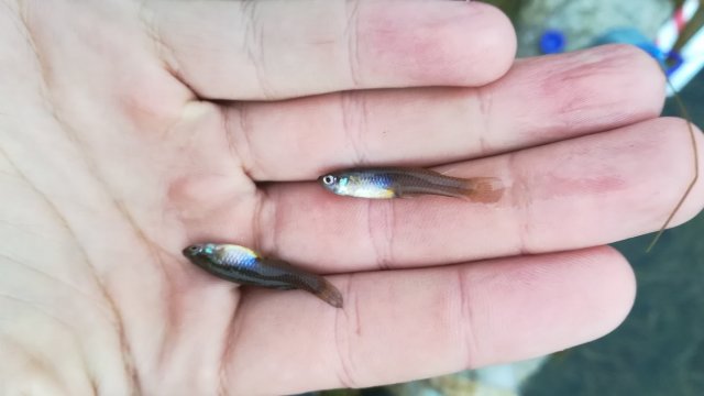 IMG_20180325_070832.jpg