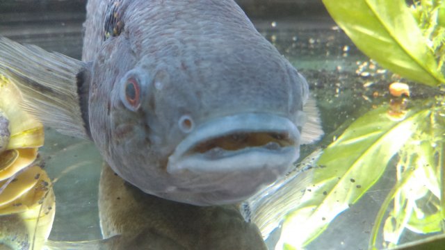 1537748771440-1273036080.jpg 1537748771440-1273036080.jpg