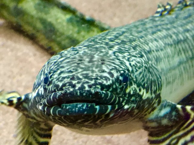1E67A385-79C4-430C-8514-01CFCE0168F9.jpeg 1E67A385-79C4-430C-8514-01CFCE0168F9.jpeg