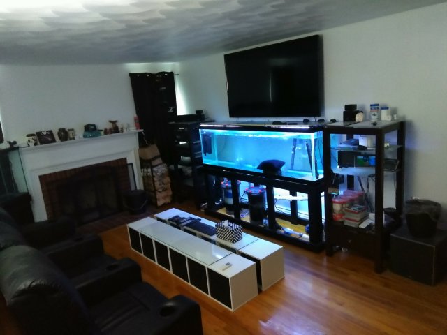 IMG_20170903_140755.jpg