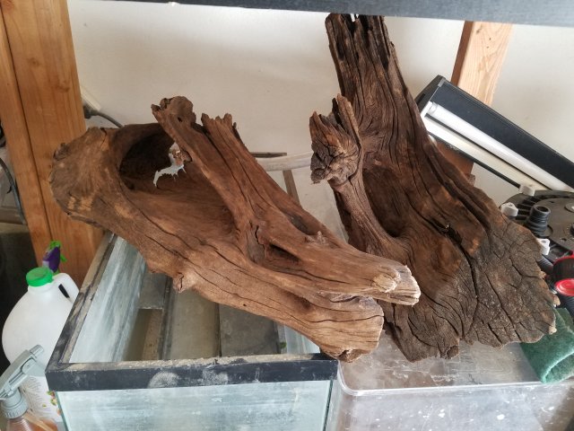 20180926_134945.jpg 20180926_134945.jpg