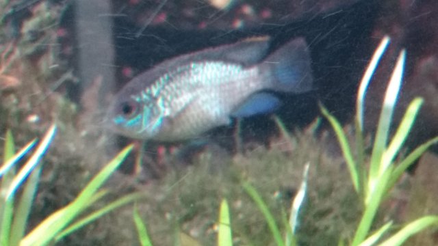 IMG_20180924_220247404.jpg