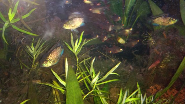 IMG_20180924_132711345.jpg