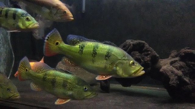 IMG_20180926_210726.jpg
