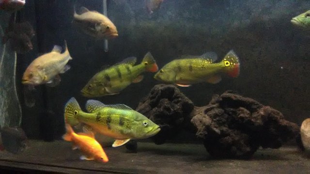 IMG_20180926_211537.jpg