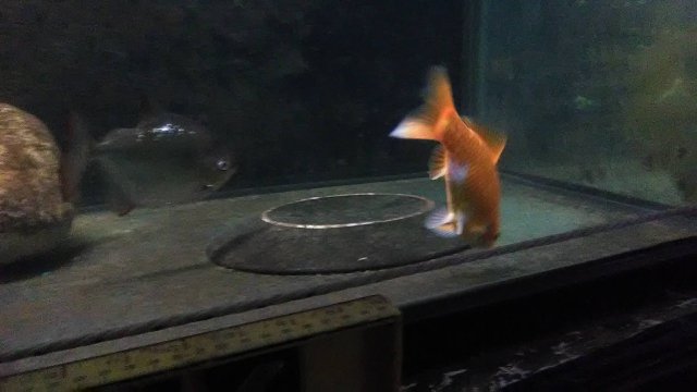 IMG_20180926_211224.jpg