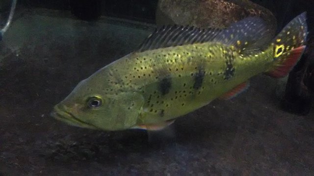 IMG_20180926_212017.jpg