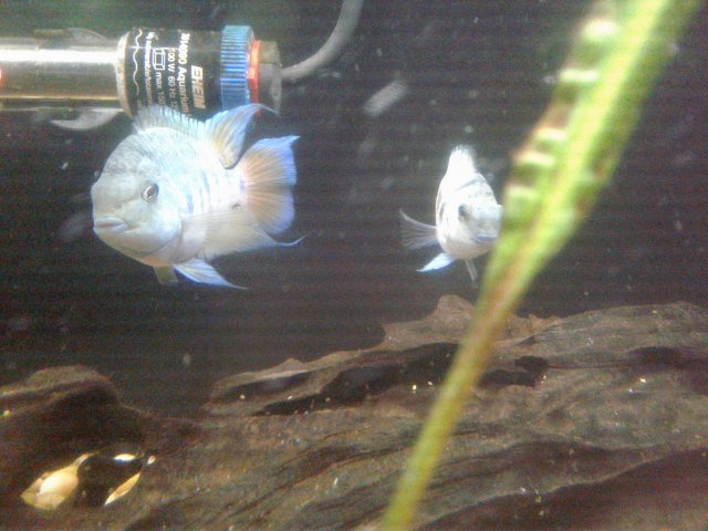 20180928_114836.jpg 20180928_114836.jpg