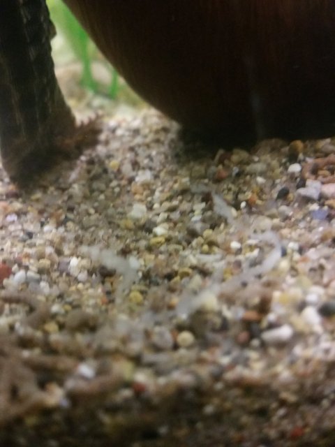 20180926_212914_001.jpg