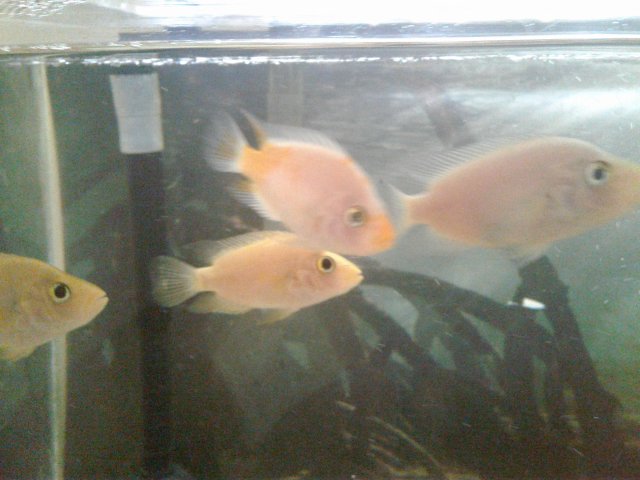 20180928_155638.jpg