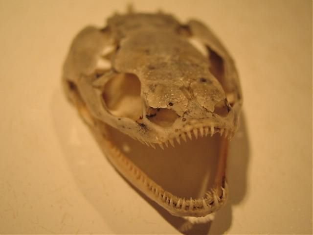 a2616e95cbde4b25732fa6ab36cb60f9.jpg a2616e95cbde4b25732fa6ab36cb60f9.jpg